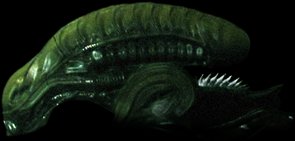 ALIEN HEAD